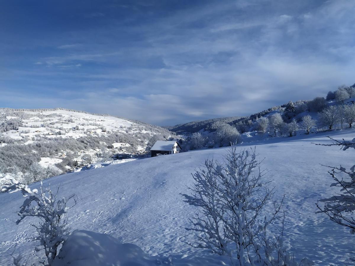 Gites De Moyenmont لابْريسْ المظهر الخارجي الصورة